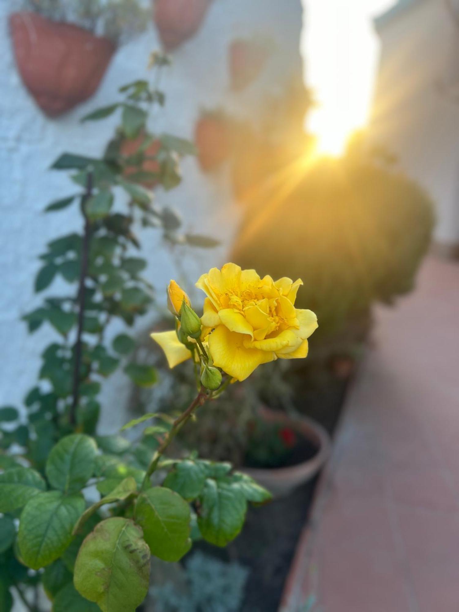 Hotel Rosa Dei Venti Cagliari Esterno foto